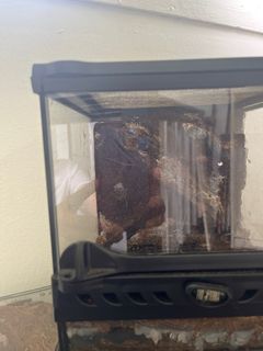 (Category: ) located in . Submitted by marty25 (Listing ID 1290841736, Image 1). Description: .