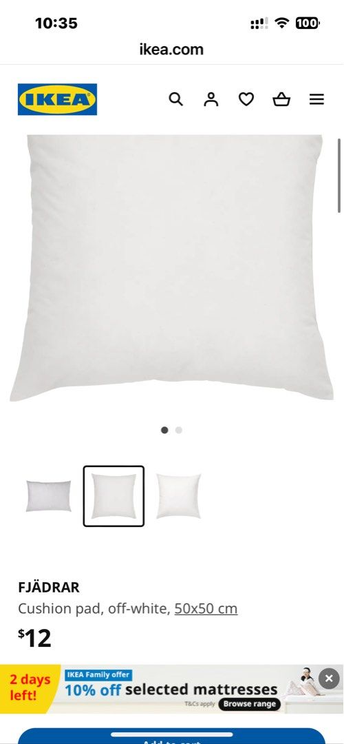 BRAND NEW IKEA FJADRAR Cushion pad off white 50x50 cm