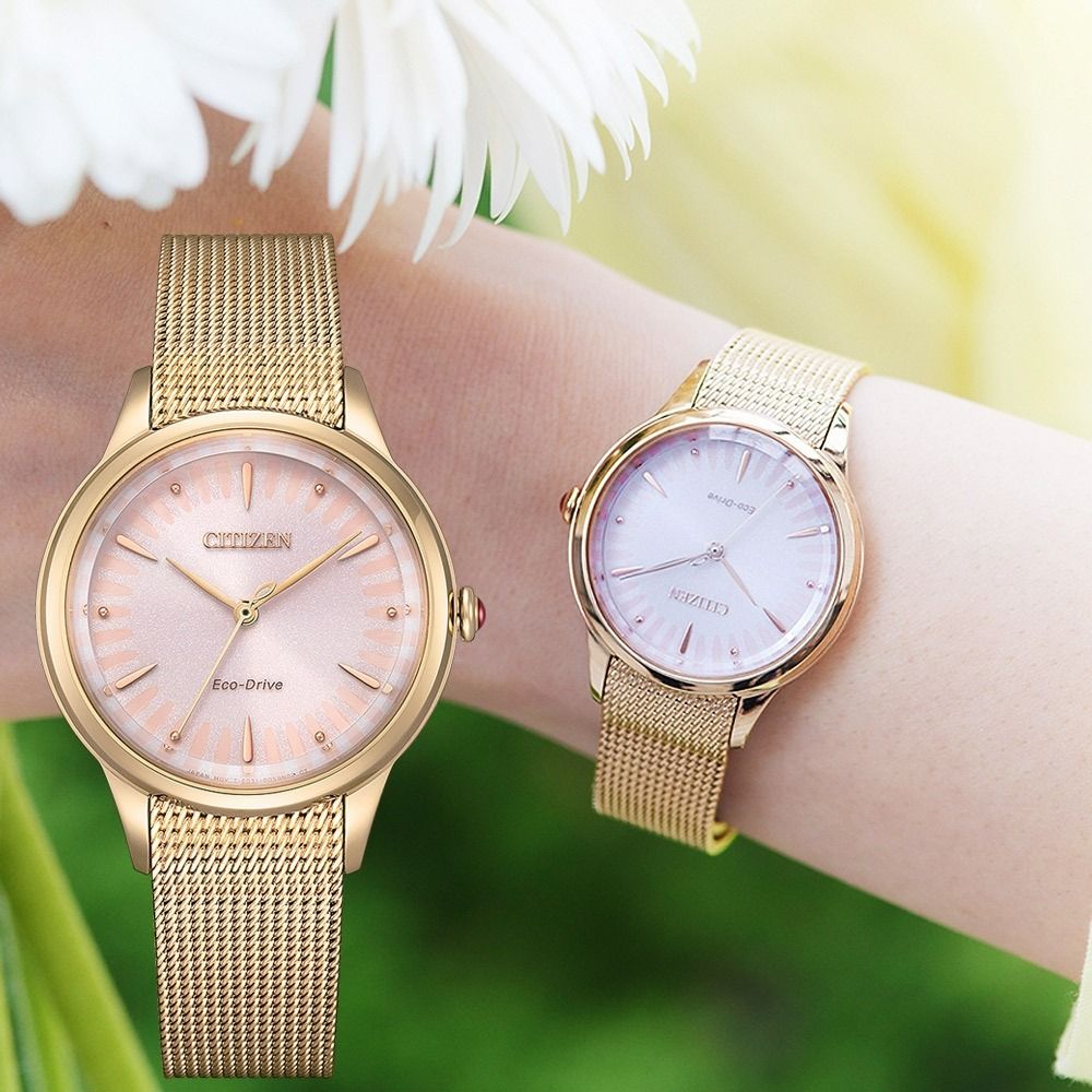 Citizen watch mesh band sale