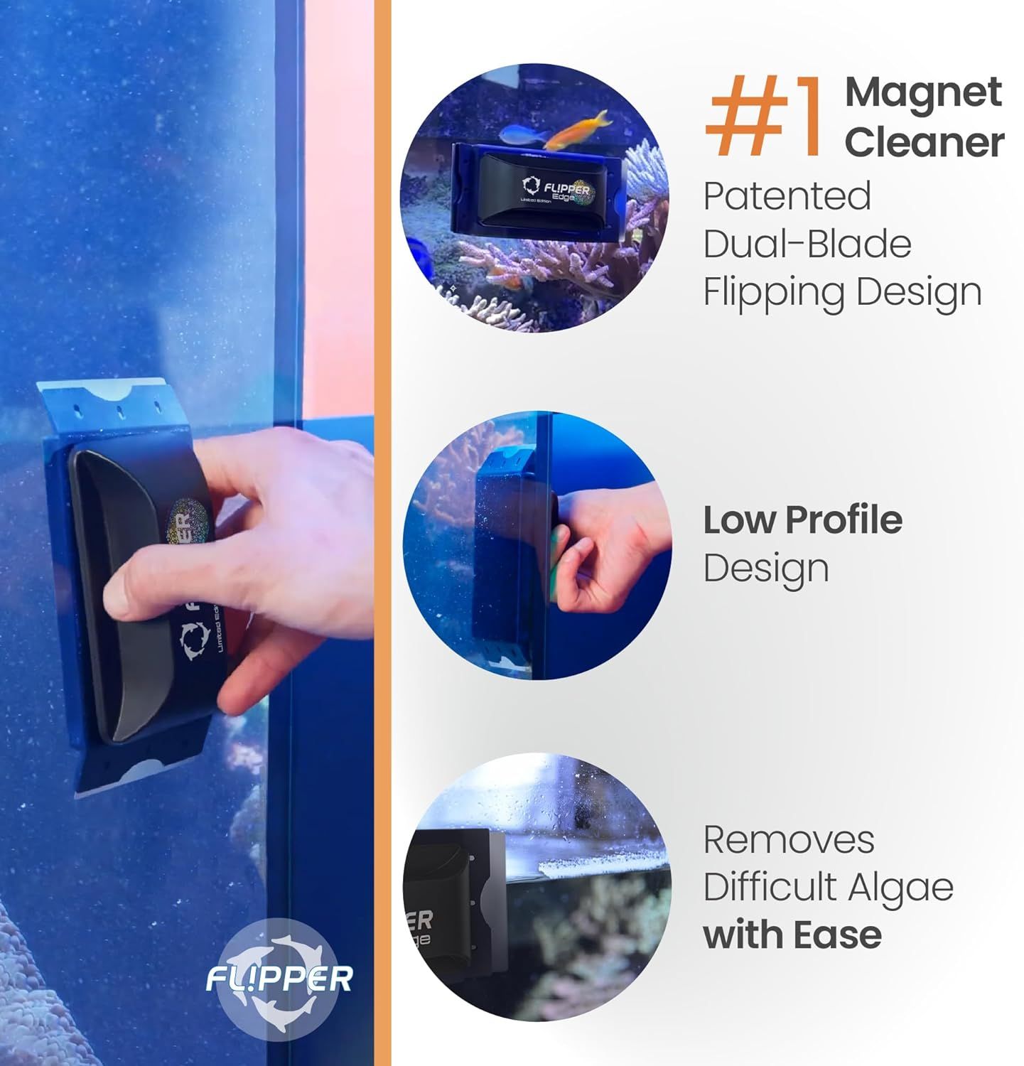 FL!PPER Flipper Edge Tang Limited Edition Floating Magnetic Aquarium ...