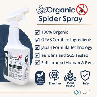 (Category: ) located in . Submitted by insectify (Listing ID 1295732361, Image 1). Description: .