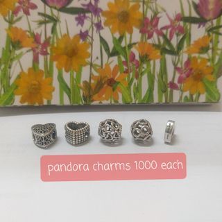 Pandora charms