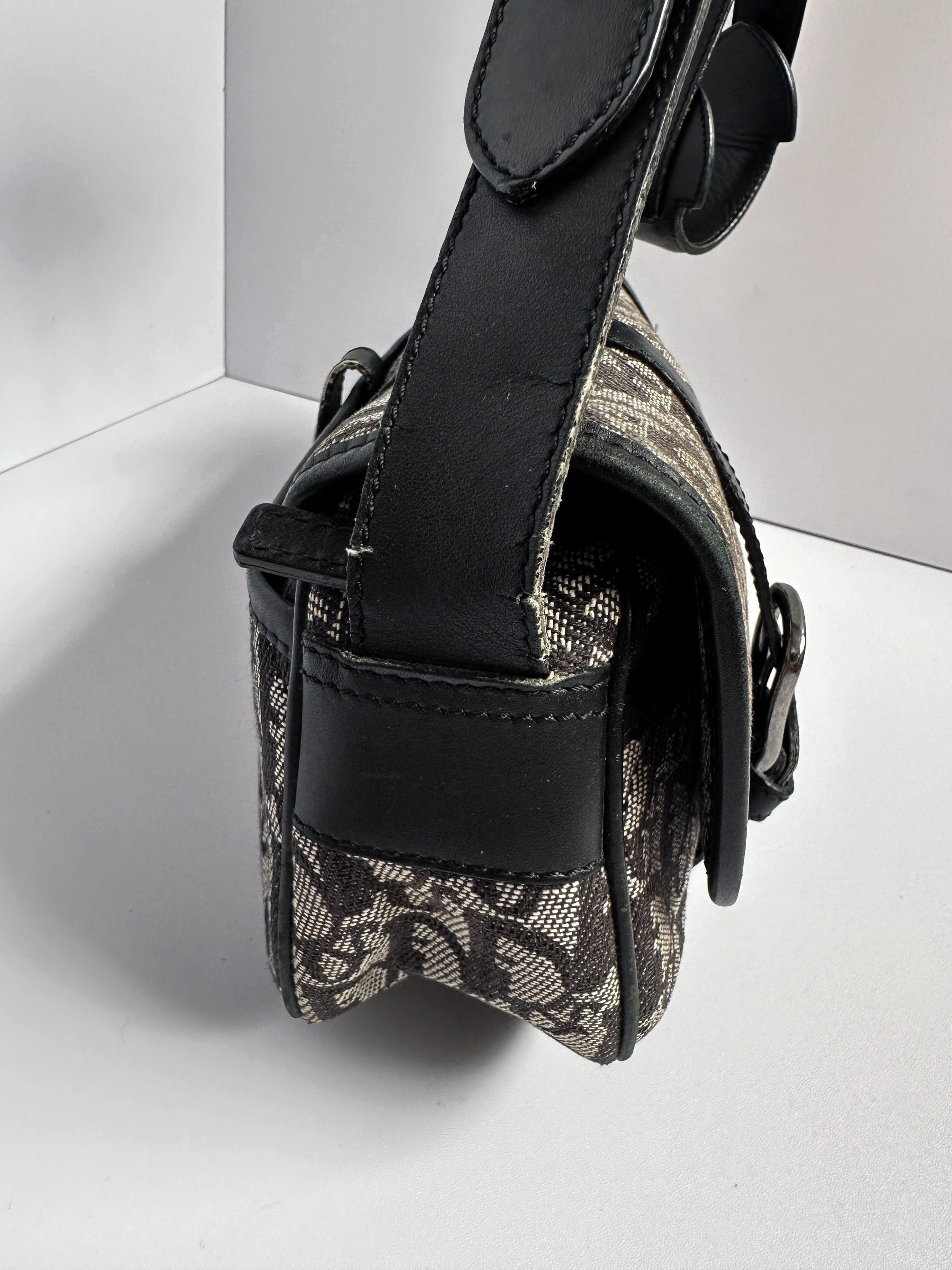 Dior canvas crossbody bag online