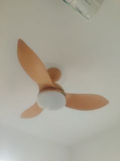 (Category: ) located in . Submitted by kwasif2020 (Listing ID 1295941060, Image 1). Description: .