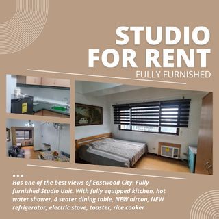 Eastwood Lafayette 1 Condo Fully Furnished Studio for Rent