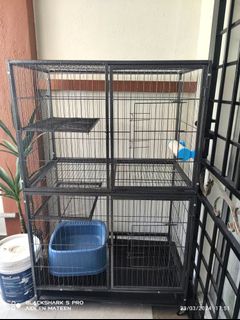 (Category: ) located in . Submitted by norasheeda (Listing ID 1295884926, Image 1). Description: .