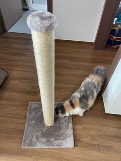 (Category: ) located in . Submitted by luxie2021 (Listing ID 1295884255, Image 1). Description: .