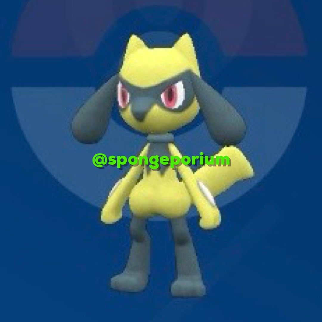 Shiny Riulo Shiny Riolu (Pokemon Scarlet & Violet) (Nintendo Switch), Video Gaming ...