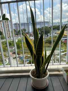 (Category: ) located in . Submitted by vtroy (Listing ID 1295885879, Image 1). Description: .