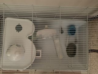 (Category: ) located in . Submitted by hedgehogsky (Listing ID 1291104658, Image 1). Description: .