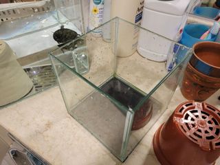 （分類：）位於 。 由 kylabbb 提交（商品編號 1291060280，圖片 1）。簡介： 。