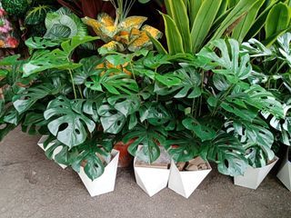 artificial leaves in plastic Vase 2 feet