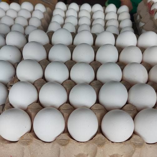 Fresh Eggs (Category: Fresh Produce) located in Manila. Submitted by solmeranodaniel (Listing ID 1291030008, Image 1). Description: 190 for 30 pcs of eggs same day delivery!!.