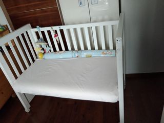 （分類：）位於 。 由 _tardigrade_ 提交（商品編號 1291005368，圖片 1）。簡介： 。