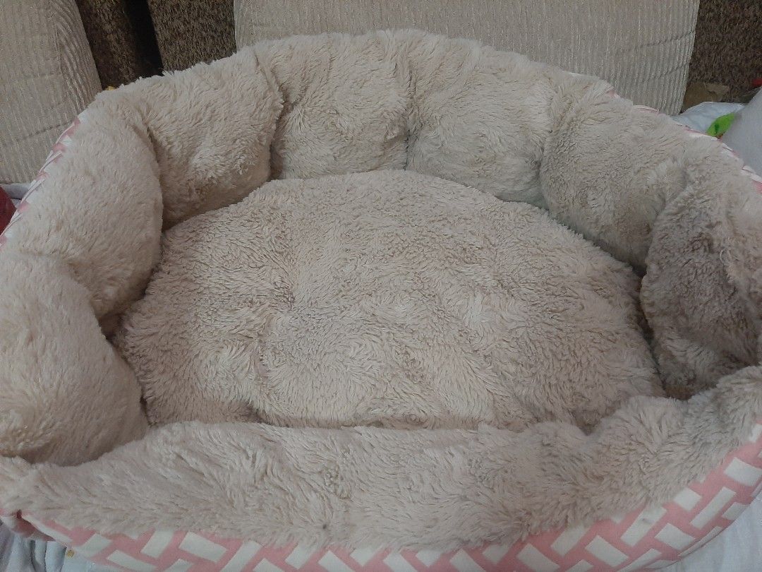 Pet bed (Category: Homes & Other Pet Accessories) located in Quezon City. Submitted by bellar01 (Listing ID 1291180421, Image 1). Description: pet bed malambot sya may mga stitches (pic 4&5)pero hnd nmn halata natastas nung winashing ko noon kaya hand wash lng po ito dpat.