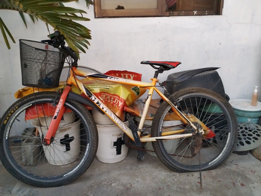 Olx second hand bicycle shop
