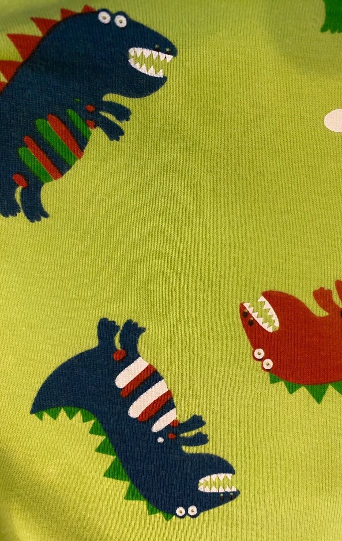 Gap dinosaur sale pajamas