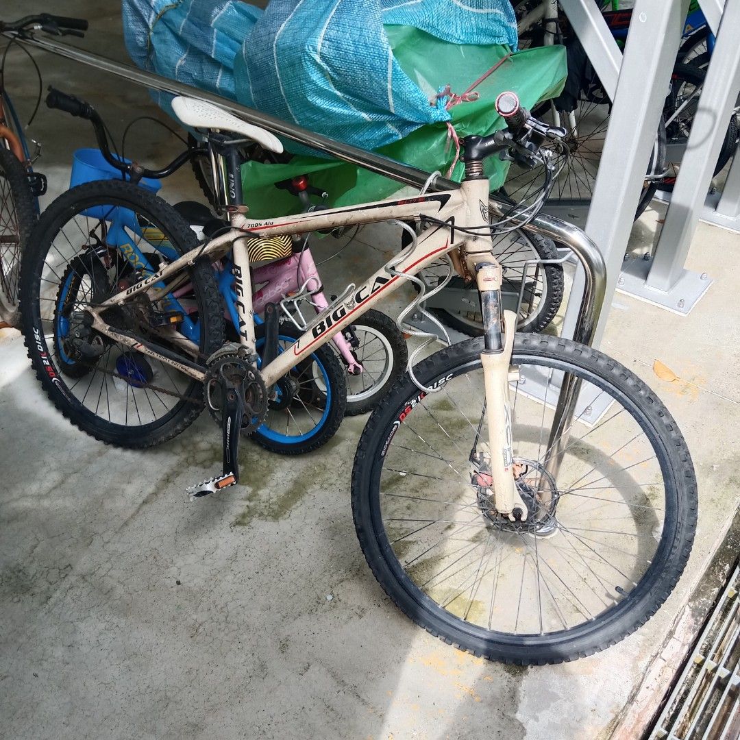 Black cat outlet mountain bike