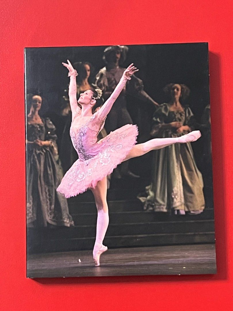 未使用・未開封品)Ballets: Nutcracker / Swan Lake / Sleeping Beauty ...