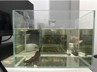 (Category: ) located in . Submitted by michlbylim (Listing ID 1291186990, Image 1). Description: .