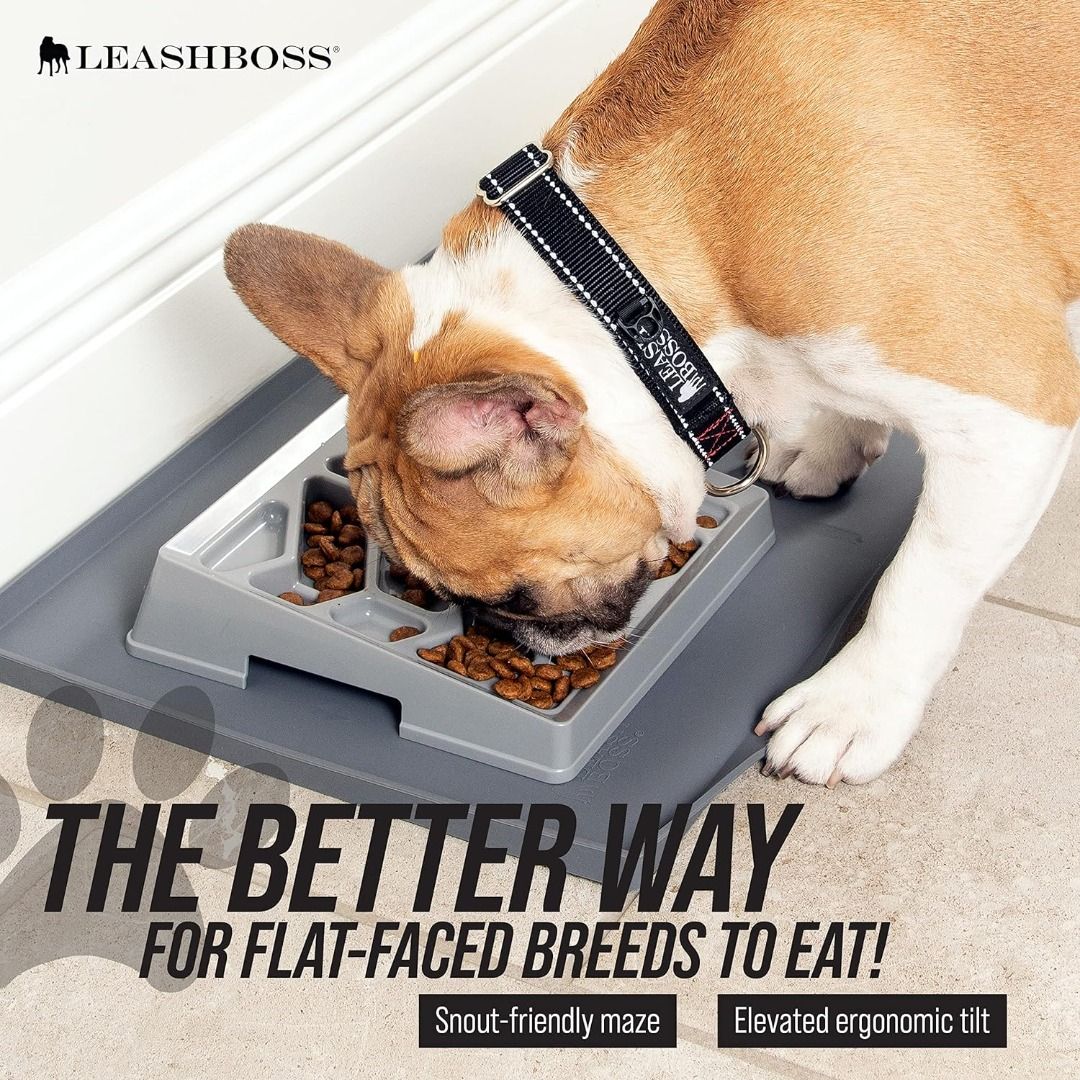 French bulldog slow feeder bowl online