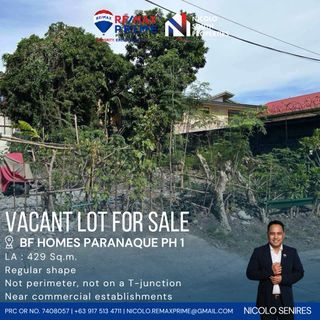 LOT FOR SALE BF HOMES PARANAQUE PHASE 1