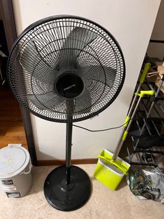 (Category: ) located in . Submitted by rafale35 (Listing ID 1291212102, Image 1). Description: .