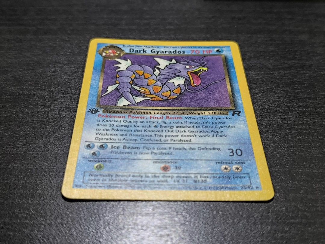 pokemon card squirtle Pokémon Fossil Display – Squirtle with Turtle Shell Fossil – The Smoky  Mountain Relic Room