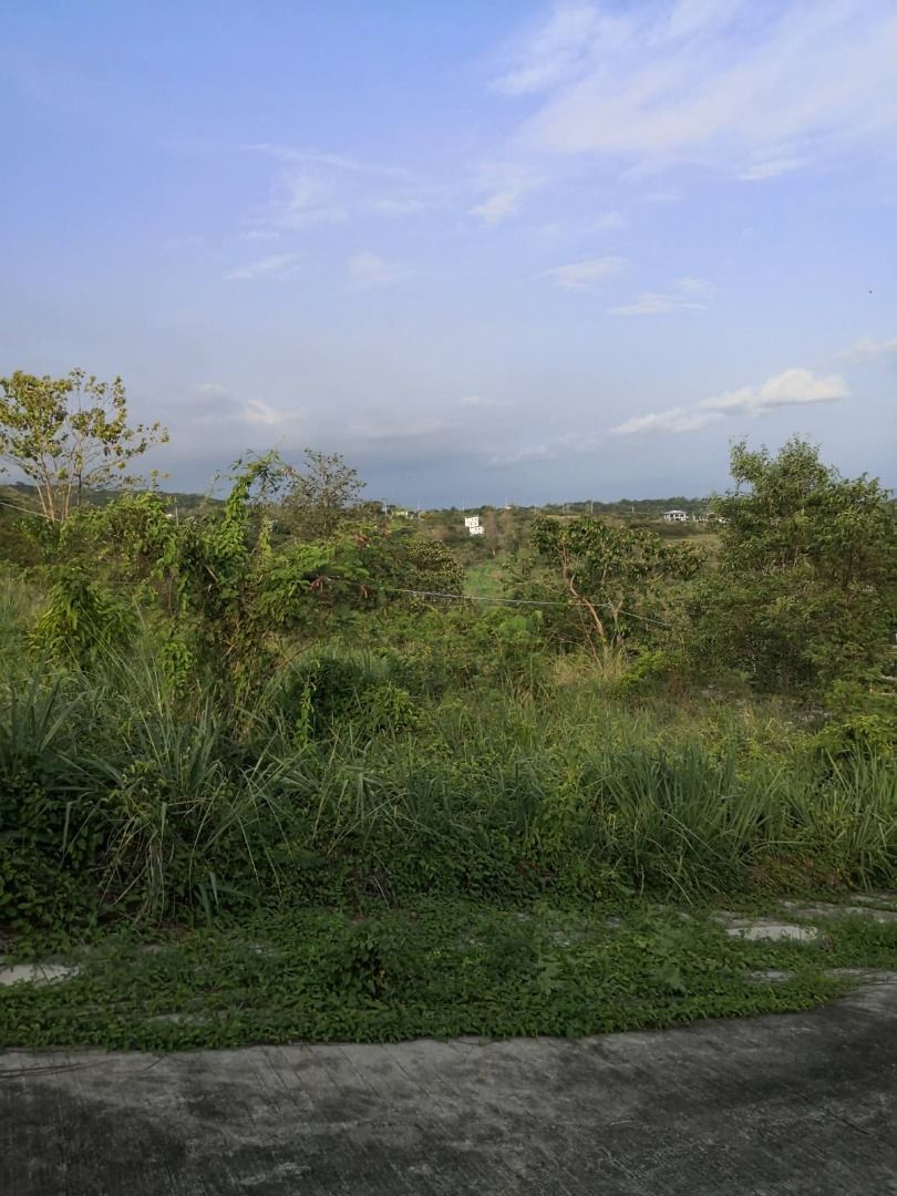 273 Lot in Eastridge Golf, Angono, Rizal, Property, For Sale, Lot on ...
