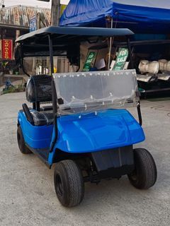 2 Seater Electric Golf Cart