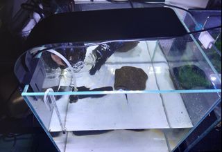（分類：）位於 。 由 pp34r31 提交（商品編號 1291432164，圖片 1）。簡介： 。