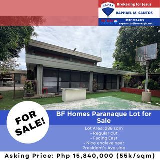BF Homes Paranaque Lot for Sale