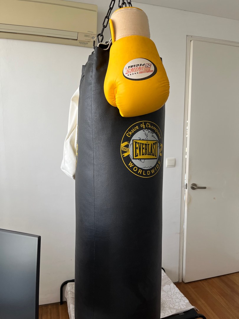 Everlast worldwide punching bag on sale