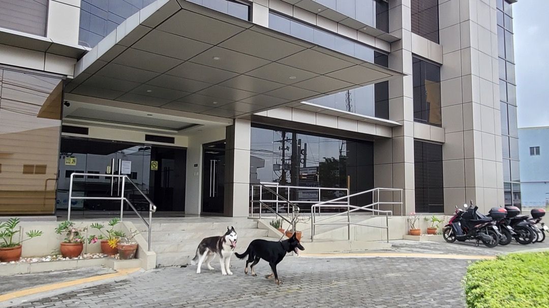 Picture of Penthouses and poor doors: how Europe's 'biggest regeneration project ...