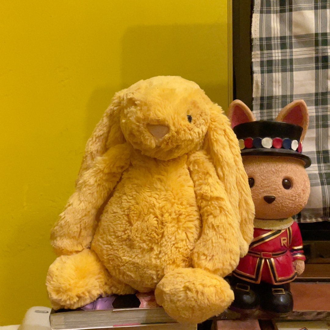 Jellycat Medium Bashful Sunshine Bunny, Hobbies & Toys, Toys