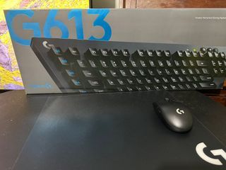 LOGITECH WIRELESS KEYBOARD AND MOUSE SET G613 AND G304