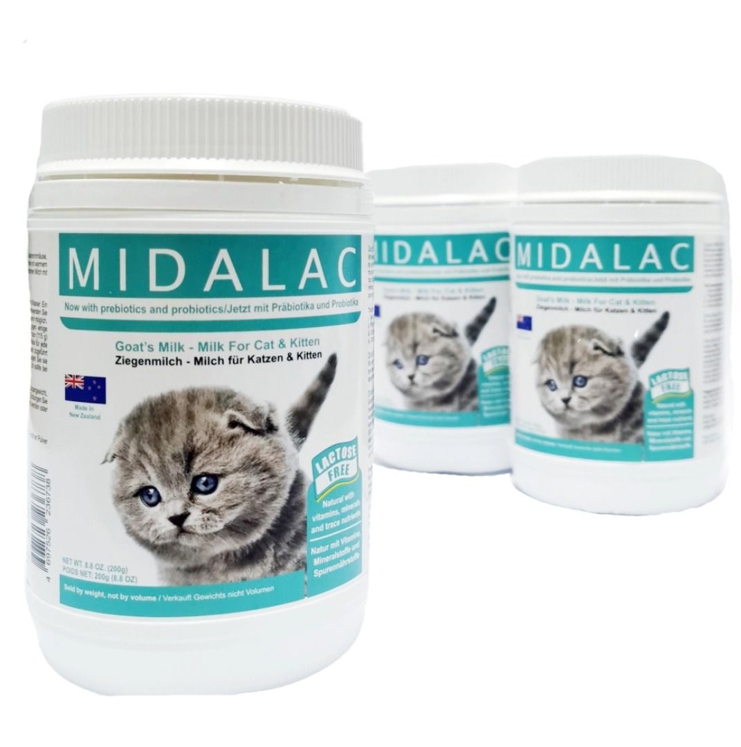 Is goat milk safe for kittens discount