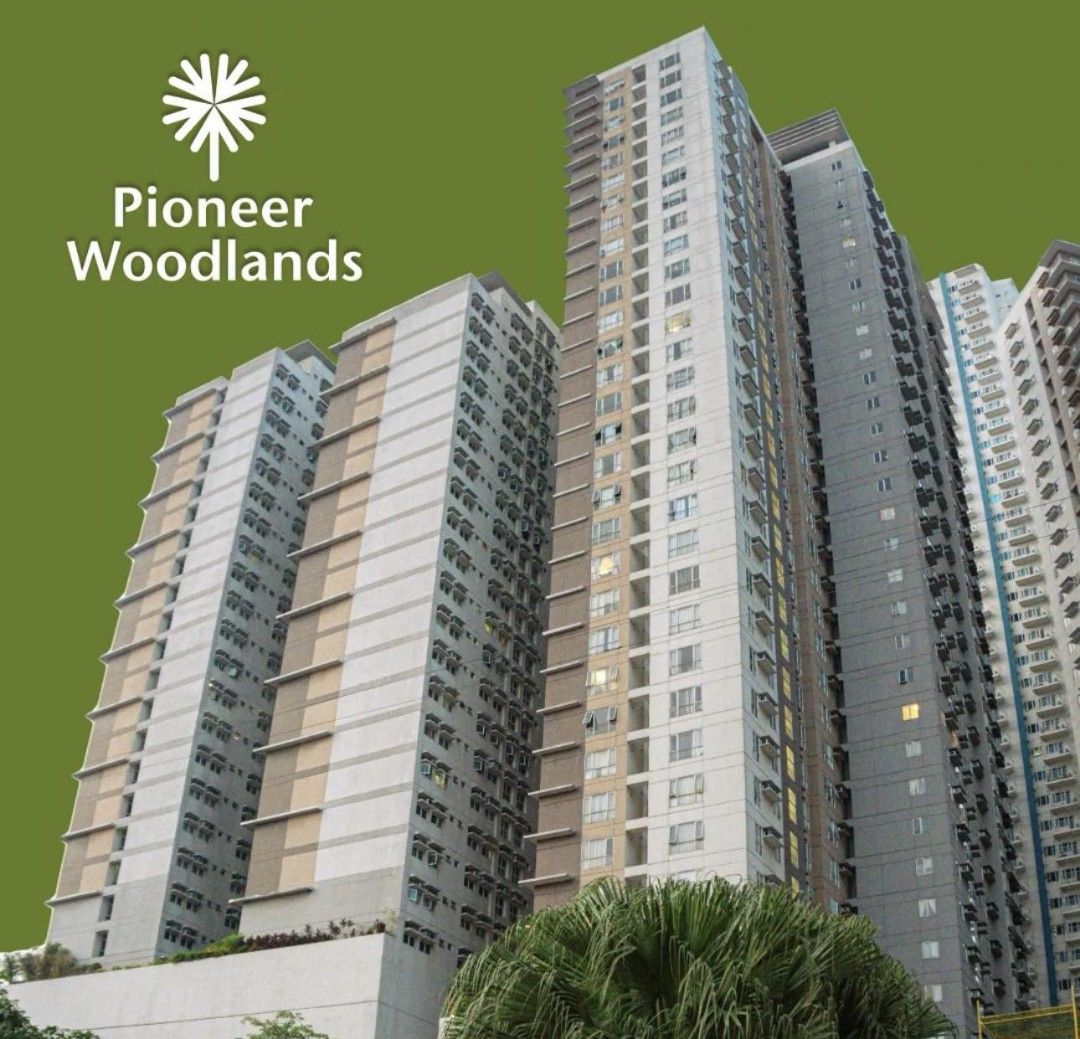 Pioneer woodlands Pioneer St. Edsa Corner Mandaluyong City physically