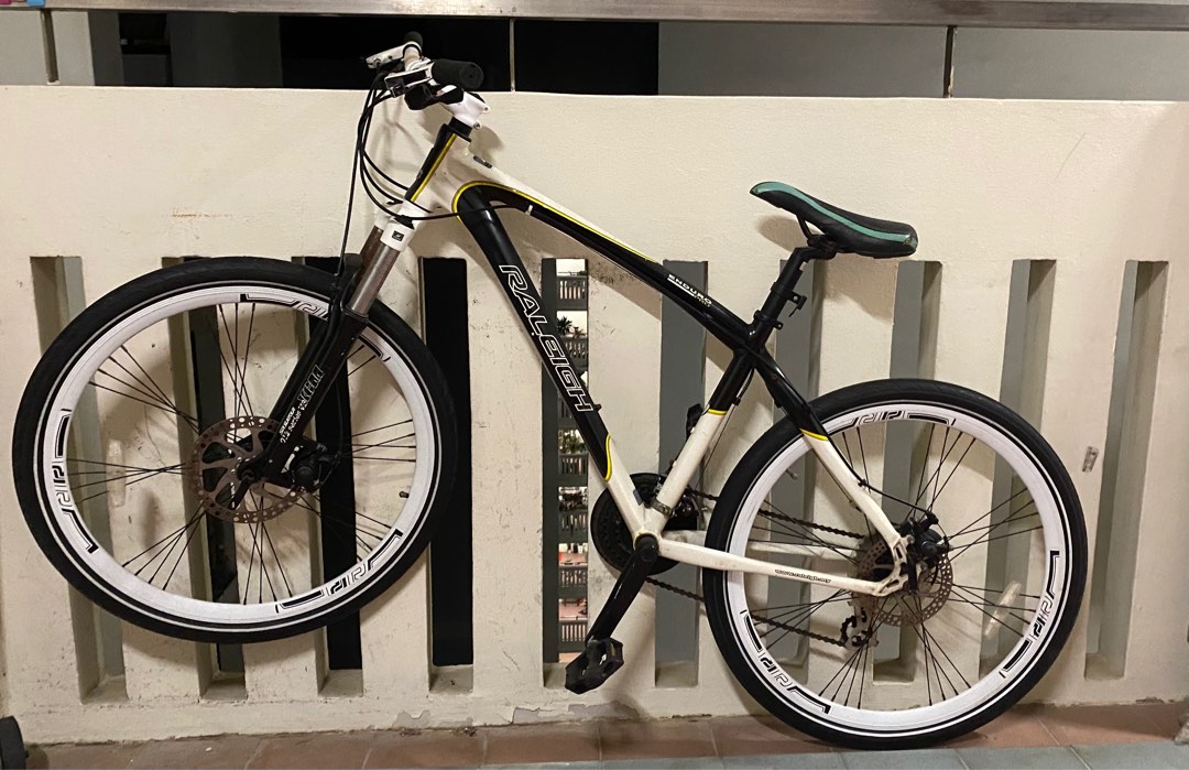 Raleigh Enduro Pro Bike
