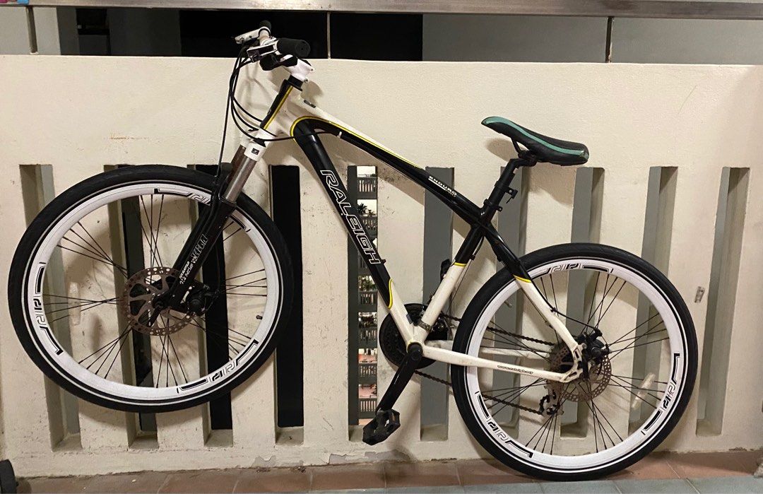 Raleigh enduro shop