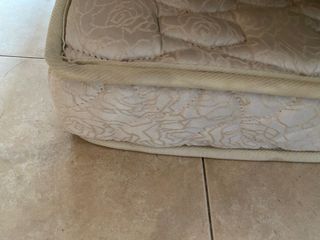 (Category: ) located in . Submitted by dartodream (Listing ID 1291387055, Image 1). Description: .