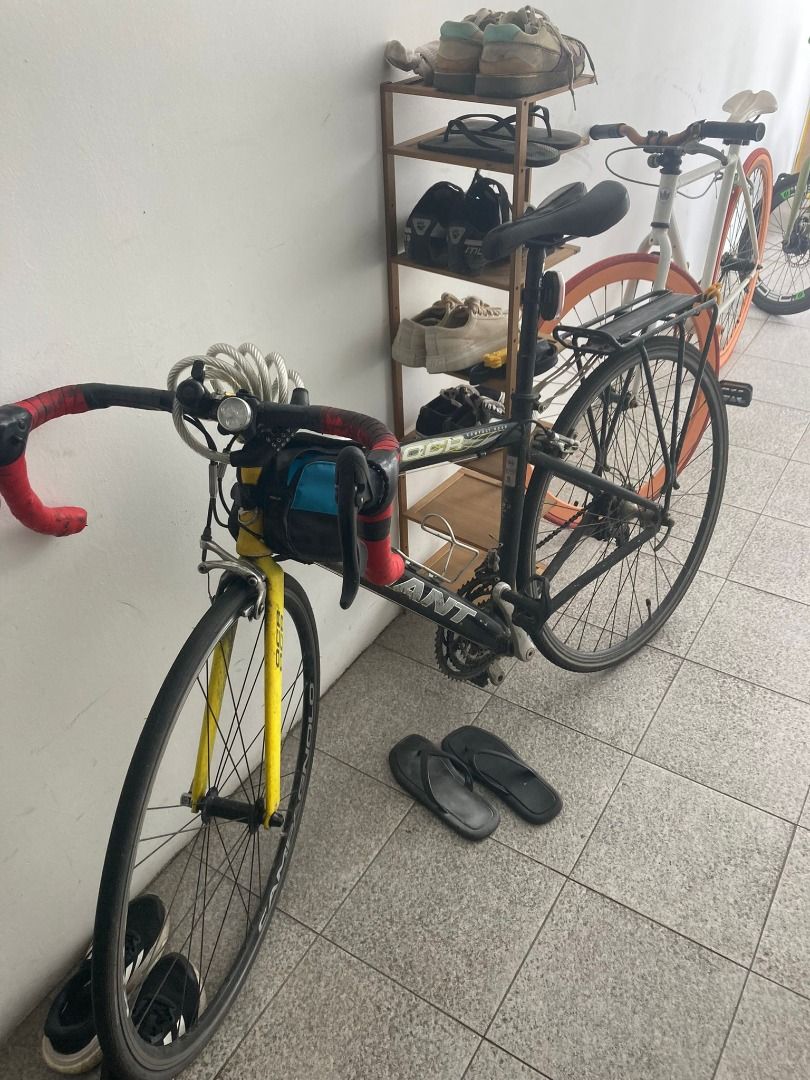 Womens road bicycle best sale