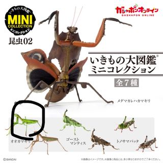 （分類：）位於 。 由 xiang1291 提交（商品編號 1291667815，圖片 1）。簡介： 。