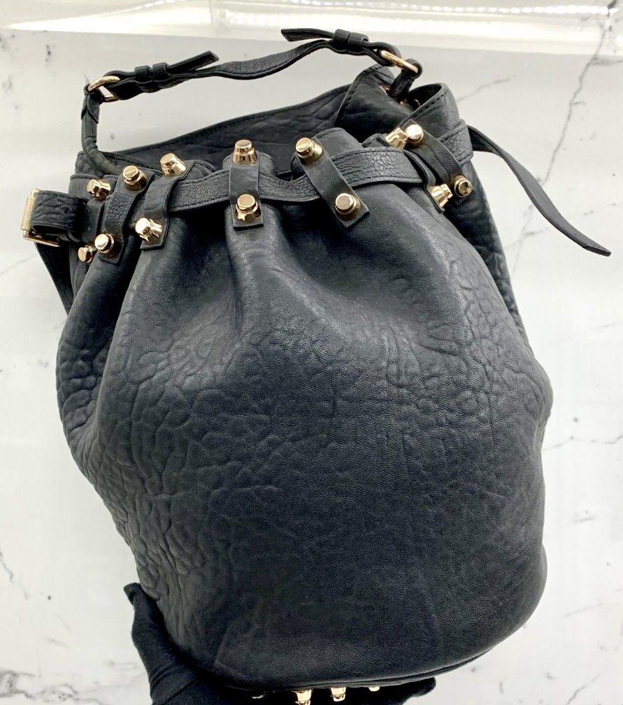 Alexander Wang Diego Studded Bucket bag (Black) on Carousell