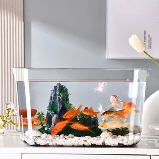 （分類：）位於 。 由 kanjerenog74589 提交（商品編號 1291718467，圖片 1）。簡介： 。