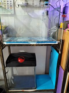 (Category: ) located in . Submitted by Bryantlois (Listing ID 1291617601, Image 1). Description: .