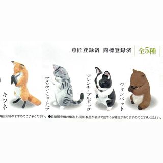 (Category: ) located in . Submitted by qqingg (Listing ID 1291632393, Image 1). Description: .