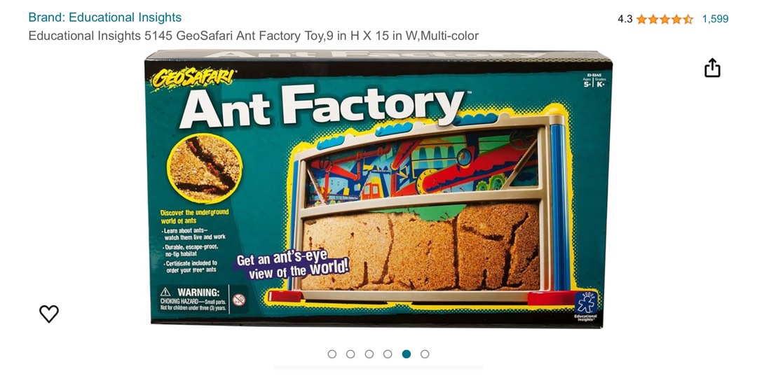 Geosafari top ant factory