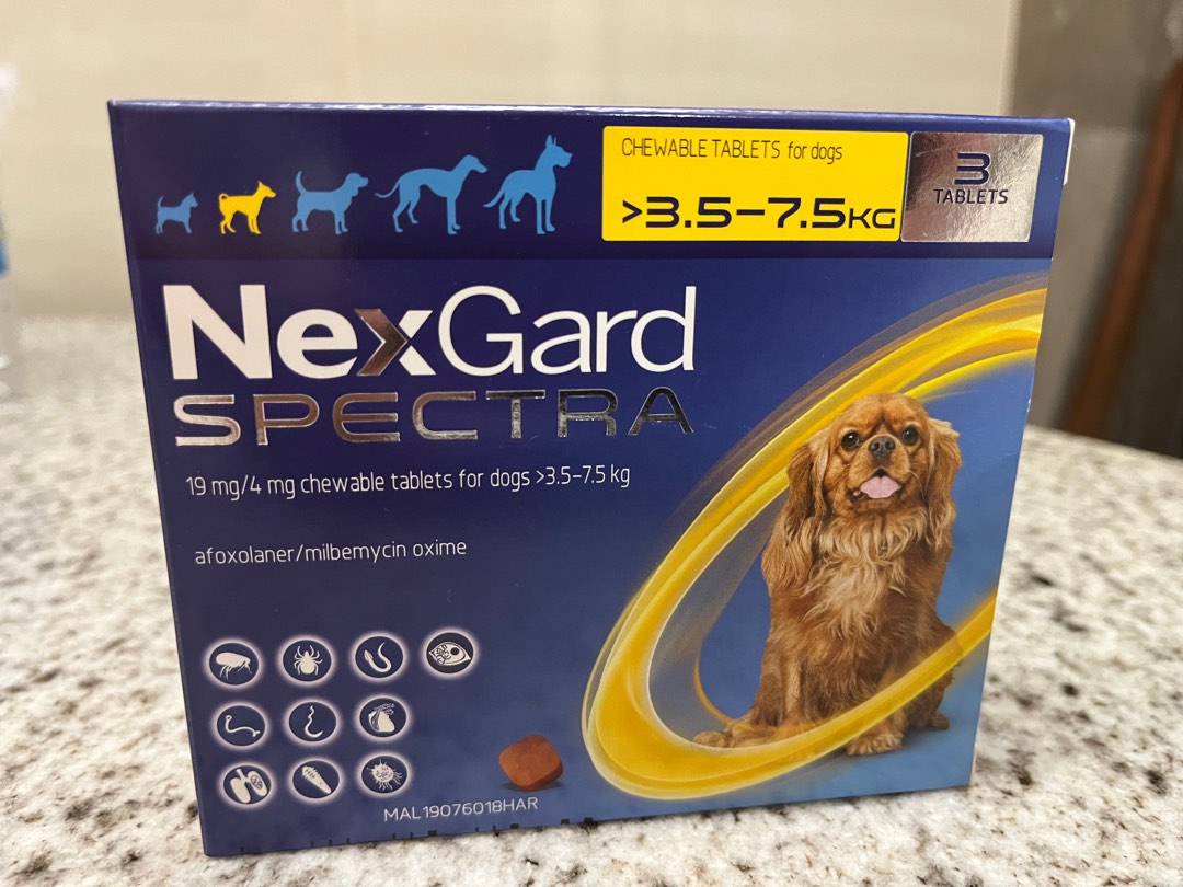 NexGard Spectra, Pet Supplies, Health & Grooming on Carousell