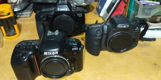 Nikon, Canon, Minolta SLR